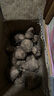 【頭茬-粉糯芋頭】正宗牛奶小芋頭軟糯現挖新鮮香甜寶寶輔食 普通裝單個(gè)25g+ 4.5斤帶箱 凈重4斤 曬單實(shí)拍圖