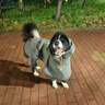 MIKI PAD狗狗雨衣分體式中大型犬全包四腳防水雨披狗衣服寵物沖鋒衣邊牧 雨披+防臟褲【全身防護】 5XL（胸圍64-72 建議35-45斤） 曬單實(shí)拍圖