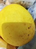 京鮮生蜜蜂授粉牛三蜜瓜網(wǎng)紋瓜單果1.5斤起凈重4.5-5斤 2-3粒裝源頭直發(fā) 曬單實拍圖