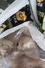 CP正大食品白羽雞琵琶腿2斤 早餐冷凍小雞腿 烤鹵涼拌蒸煮煎炸雞腿 曬單實(shí)拍圖