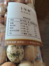 酥脆多彩豆魚(yú)皮花生米罐裝香酥魚(yú)皮豆老式脆皮花生小零食批發(fā) 多彩魚(yú)皮花生500gx1罐【高品質(zhì)】 曬單實(shí)拍圖