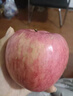 煙臺(tái)脆甜紅富士蘋果生鮮水果煙臺(tái)特產(chǎn)整箱批發(fā)-洪強(qiáng) 茁強(qiáng)煙臺(tái)紅富士蘋果80mm起凈果 5斤 曬單實(shí)拍圖
