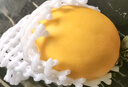 【香甜蜜瓜】正宗民勤蜜瓜頭茬新鮮黃河沙漠甜瓜應(yīng)季水果整箱包郵 蜜瓜帶箱4-5斤（1-2裝） 曬單實拍圖