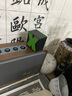 【3D立體音】汽車(chē)藍牙音箱無(wú)線(xiàn)低音炮basix迷你車(chē)載戶(hù)外音響便攜 電光綠 曬單實(shí)拍圖