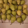 煙臺太婆梨山東梨子啤梨香蕉梨大頭梨茄梨軟梨新鮮水果鮮聲 煙臺太婆梨凈重4.8斤 單果120g+ 曬單實(shí)拍圖