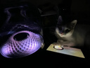 犀狼【國補秒殺丨重磅新品】藍牙音響電腦音箱桌面臺式2025新款水晶琉璃5代4高音質無線低音炮家用室內 柏林之聲|HiFi高音質 國補旗艦版mini 官方原裝+國行正品+全國聯保 曬單實拍圖