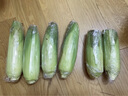 京鮮生&佳農(nóng)寶菜山東水果玉米單根275g+鮮甜多汁4-7根凈重4.6斤源頭直發(fā) 曬單實拍圖