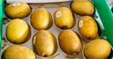 佳沛（zespri）新西蘭 陽(yáng)光金果12粒單果約122-146g 獼猴桃 中秋水果禮盒 曬單實(shí)拍圖