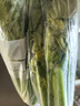 輕食高原生鮮清芹榨汁芹菜新鮮蔬菜低脂脆嫩水果西芹-胖東來(lái)同款 4包（200-300克每包）順豐包郵 曬單實(shí)拍圖