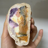 蒸籠頭五谷豐登饅頭200g*2袋共4塊 兒童半成品營養(yǎng)早餐 速食粗糧饅頭 曬單實拍圖