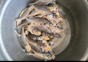黃小漁寧德鮮捕小黃魚2斤 15-18條/斤 冷凍黃花魚海捕燒烤食材 生鮮魚類 曬單實(shí)拍圖