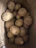 牛愛(ài)鮮 黃心土豆新鮮洋芋馬鈴薯黃皮應季蔬菜整箱優(yōu)質(zhì)土豆現摘美味蔬菜 10斤精選裝【現挖現發(fā)】?jì)糁?斤 農家現挖蔬菜 曬單實(shí)拍圖