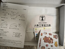 祺加質(zhì)品午睡枕小學生趴睡枕兒童午休枕頭教室桌上午睡神器一年級折疊抱枕 曬單實拍圖
