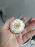 寶菜大蒜紫皮蒜頭25年山東金鄉帶皮大蒜頭干大蒜源產(chǎn)地整箱包郵 3條裝（15頭 單果約5.0cm 凈重600g+） 曬單實(shí)拍圖