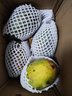 京鮮生 攀枝花凱特芒果 凈重8.5斤 帶箱9斤 單果400g+ 生鮮水果源頭直發(fā) 曬單實(shí)拍圖