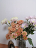【小雛菊】供佛超長(cháng)花期鮮花基地直發(fā)好打理菊花多色七夕節禮物 小雛菊混搭顏色10枝 曬單實(shí)拍圖
