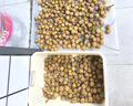 名創(chuàng)優(yōu)品同款 雜物收納筐塑料桌面收納盒廚房櫥柜零食玩具整理筐 奶油色高款特大號(hào) 曬單實(shí)拍圖