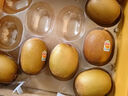 佳沛（zespri）新西蘭  陽光金果10粒巨大果單果約144-175g 中秋水果禮盒 獼猴桃 曬單實拍圖