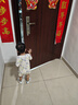 基諾浦（ginoble）嬰兒學(xué)步鞋8-18個月男女兒童涼鞋夏季寶寶步前鞋GB2203白色 曬單實(shí)拍圖