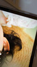 閃魔適用iPad Air7/6鋼化膜11英寸2025/2024年款M3芯片Apple平板電腦貼膜全屏防摔抗指紋高清保護(hù)膜 曬單實(shí)拍圖