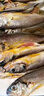 滋百尚舟山野生小黃魚新鮮冷凍海鮮黃魚燒烤夜宵食材海捕深海魚 【中小號】約18條/斤凈重2斤 曬單實拍圖