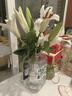 AB級(jí)優(yōu)質(zhì)香水百合鮮花水培插花家庭室內(nèi)花生活水養(yǎng)鮮切花苞禮物3 高品質(zhì)【AB級(jí)隨機(jī)色大花苞】香水百合花6朵+百合粉 曬單實(shí)拍圖