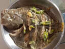 【京東冷鏈】多寶魚(yú)新鮮超大多寶魚(yú)冰凍海水魚(yú)比目魚(yú)海鮮海魚(yú)偏口 1-/條【5條裝】 0.6kg 曬單實(shí)拍圖