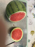 現摘現發(fā)2k西瓜當季手剝薄皮小糖丸西瓜新鮮水果冰糖子小西瓜 2-3斤（1-2個(gè)） 曬單實(shí)拍圖