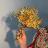 目送金色手捧花新婚禮物送新娘結(jié)婚手捧花成品結(jié)婚禮物送新人 鎏金之喜+防塵禮盒+禮袋 新人結(jié)婚禮物 曬單實拍圖