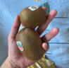 佳沛新西蘭綠果進(jìn)口奇異果綠心獼猴桃當(dāng)季新鮮水果禮盒包郵源頭直發(fā) 【嘗鮮推薦】4粒  單果約70-89g 曬單實(shí)拍圖