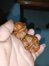 老農哥【蛤蟆頭青皮】金蟾延慶開(kāi)背文玩核桃帶皮蛙蛙呱呱自開(kāi)小眾賭青皮 金蟬蛤蟆頭 44-45mm蛤蟆頭青果【1對】 曬單實(shí)拍圖
