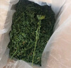 喜帥烘干紫花苜蓿草 幼兔兔糧牧草干草龍貓荷蘭豬磨牙飼料毛重1kg 曬單實(shí)拍圖