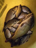 小鳳仙高亮夜光漂L-DL咬鉤變色浮漂日夜兩用高靈敏魚(yú)漂醒目野釣電子漂 曬單實(shí)拍圖