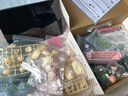 若客（ROKR）花間集綻放綺夢(mèng) 積木花束永生花diy手工拼裝玩具教師節禮物創(chuàng  )意 曬單實(shí)拍圖
