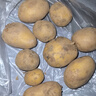 山東新鮮黃心土豆農(nóng)家自種黃皮馬鈴薯黃心洋芋新鮮蔬菜 山東黃心大豆大果2斤 含箱 曬單實拍圖