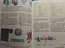 細胞生物學 第五版5版 翟中和第四版改版 細胞的超微結構及功能 細胞生物學的基本概念 丁明孝 王喜忠 張傳茂 高等教育出版社 曬單實拍圖