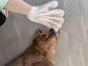爪小囡 寵物免洗手套專(zhuān)用濕巾干洗擦全身貓咪清潔狗狗洗澡用品淚痕清潔 免洗手套18片【3包裝】 曬單實(shí)拍圖