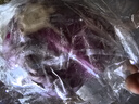 槿饈紫甘藍650g紫包菜紫色球生菜紅紫椰菜新鮮沙拉食材 紫甘藍650g 曬單實拍圖