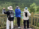 駱駝【小耶溪】戶外防曬帽女漁夫帽徒步登山牛仔帽夏季遮陽(yáng)帽子男 曬單實(shí)拍圖