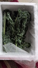 羽衣甘藍(lán)新鮮生鮮蔬菜嫩葉甘蘭芥藍(lán)西餐沙拉榨汁減肥減脂 羽衣甘藍(lán)閨蜜2斤裝 曬單實(shí)拍圖
