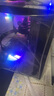 免押金租賃電腦丨酷睿i5i7i9/1060/4060Ti臺式主機丨出辦公直播游戲設(shè)計剪輯渲染租金月付 押金折扣租 配置五【爆款】無人AI直播/高效剪輯渲染 曬單實拍圖