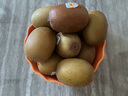 佳沛（zespri）新西蘭  陽光金奇異果10粒禮盒巨大果單果約144-175g 水果 獼猴桃 曬單實拍圖