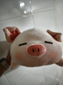 名創(chuàng)優(yōu)品（MINISO）小豬B-BO彈力超柔趴姿毛絨公仔玩偶抱枕玩具女友生日七夕禮物女 曬單實(shí)拍圖