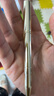 優(yōu)家UPLUS口紅伴侶化妝刷 便攜式雙頭可伸縮唇刷口紅刷 唇膏刷遮瑕刷 曬單實(shí)拍圖