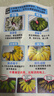 京喜自營(yíng) 廣西網(wǎng)紅小米蕉 青香蕉發(fā)貨放熟吃 新鮮水果一件包郵 青蕉發(fā)貨 凈重5斤 曬單實(shí)拍圖