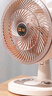 駱駝電風扇家用電扇臺式多功能小型風扇學生宿舍桌面風扇可搖頭靜音辦公室桌面臺扇 米色臺扇【搖頭/2檔位】 標配【1.3米電源線】 曬單實拍圖