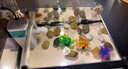 闊庭（KUOTING）闊庭魚缸懶人魚缸家用客廳辦公室水培吊籃金魚缸過濾魚缸白色款 曬單實(shí)拍圖