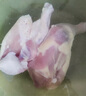 跑山密水農(nóng)家北京密云 新鮮散養(yǎng)雞大腿3斤 急凍排酸雞腿 雞肉 源頭直發(fā) 曬單實(shí)拍圖