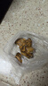 北海印象【北海產(chǎn)地】金蠔干大號(hào)250g牡蠣干煲湯煮粥材料 源頭直發(fā)包郵 曬單實(shí)拍圖