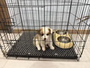 腆寵狗籠貓籠 狗籠子中小型犬帶廁所幼犬狗窩貓籠子大號家用圍欄兔籠 曬單實拍圖
